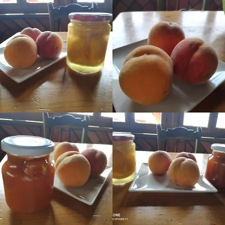 Country house El Camino Real