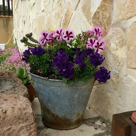 El Camino Real Country house Villovela de Piron