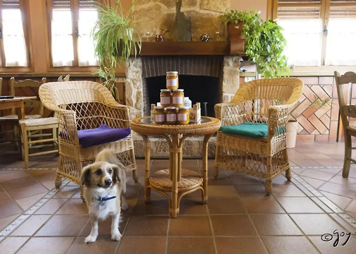 El Camino Real 乡村民宿 *