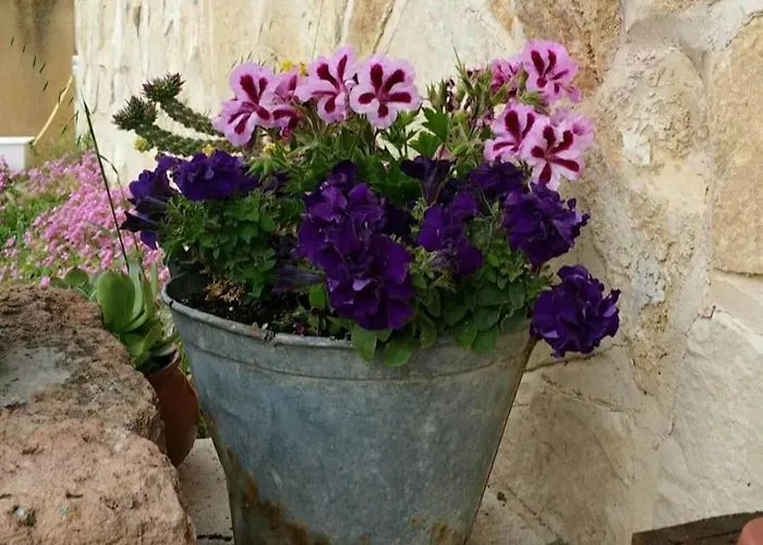 El Camino Real 乡村民宿 Villovela de Pirón