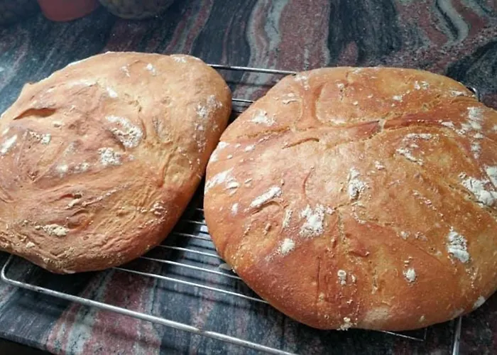 乡村民宿 El Camino Real Villovela de Pirón